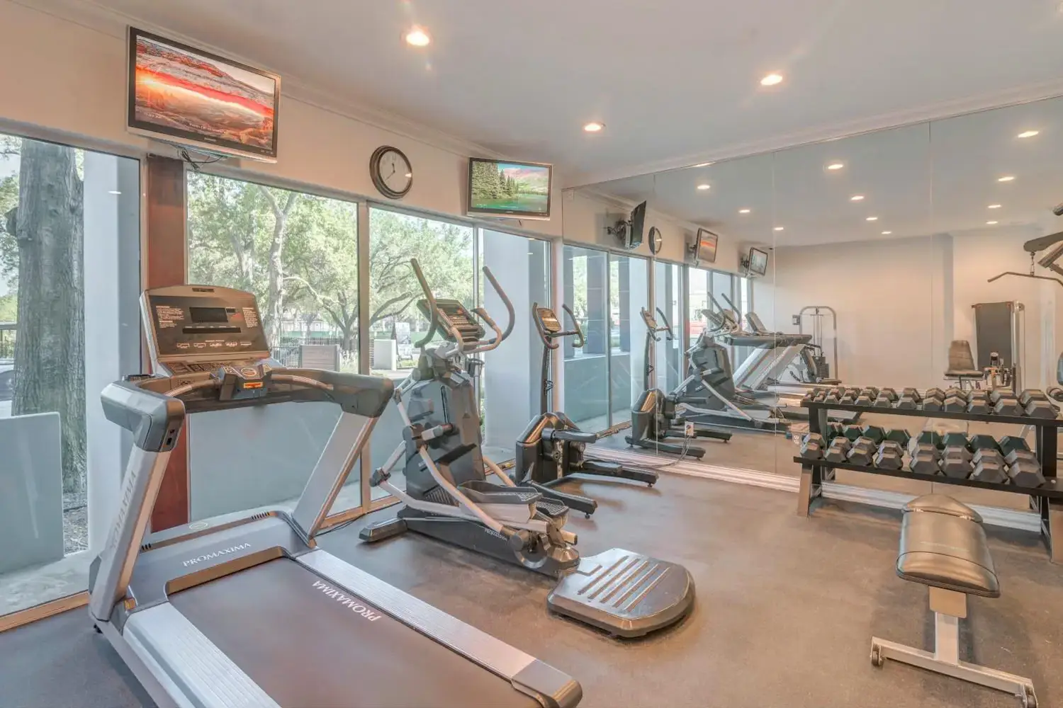 Gym with various exercise equipment including treadmills, ellipticals, stationary bike, weight rack, and a blue exercise ball.