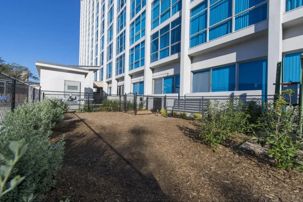 Modern white building with blue windows, bark park with a gravel path, various plants, and shrubs.