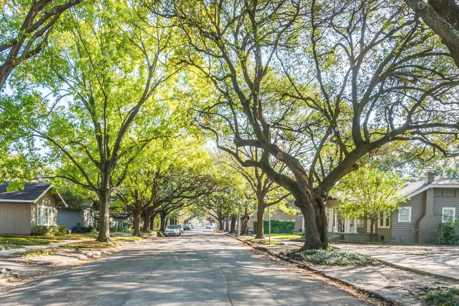 Residential neighborhood with a tree-lined street, houses with front yards and driveways, and a parked car in the distance.